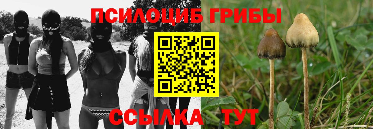 Россошь  Галлюциногенные грибы прущие грибы  как найти   Вход с VPN 