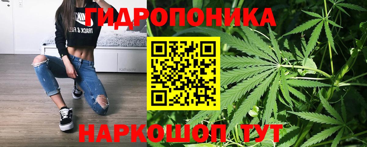 Канабис OG Kush  Вход с VPN  Конопля THC 21%  Бошки Шишки планчик  Россошь  МАРИХУАНА тримм 